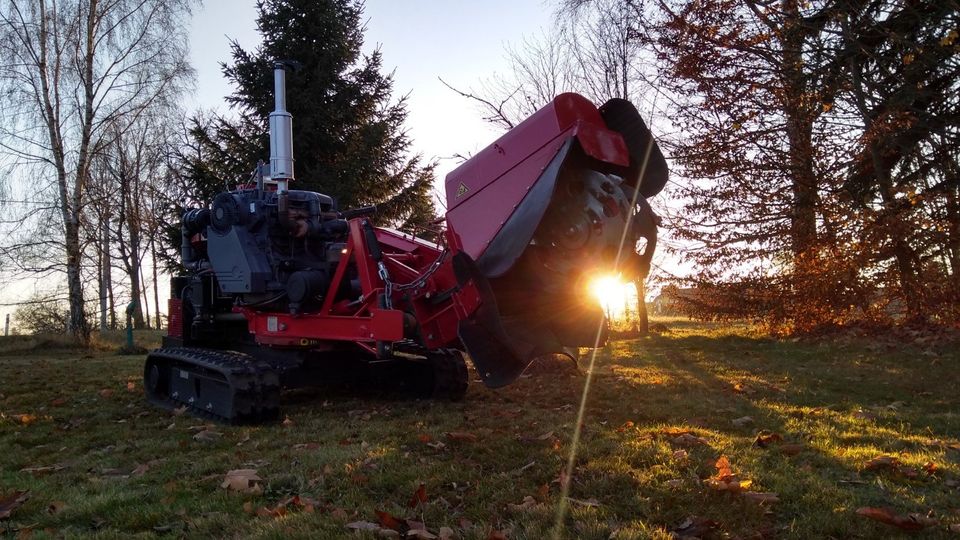 Stubbenfräsen Baumstumpf entfernen Wurzel fräsen in Bad Brambach