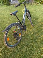 Tecnobike 26 Zoll Sachsen-Anhalt - Zörbig Vorschau