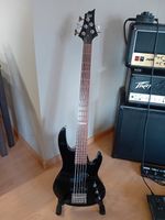 ESP LTD B-55 5-Saiter E-Bass Bayern - Gemünden a. Main Vorschau