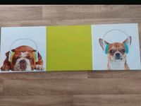 Wandbild mit Magnetteil Hunde Bulldogge/Chihuahua Nordrhein-Westfalen - Bönen Vorschau