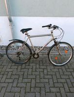 Verkaufe Fahrrad 28 Zoll 54RH Sachsen - Heidenau Vorschau