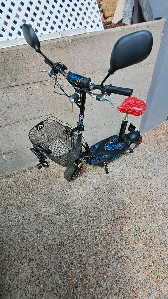 E-Scooter SXT Scooters 48 V 24 Ah in Malsch bei Wiesloch