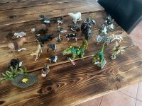 Schleich Turnierritter Taurus Tiere Eldrador Dinosaurier Wuppertal - Vohwinkel Vorschau