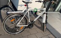 Fahrrad serious alloy lite Nordrhein-Westfalen - Anröchte Vorschau
