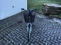 Damen Fahrrad zu verkaufen Niedersachsen - Osnabrück Vorschau