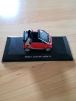 Smart fortwo cabrio Miniaturauto Modellauto Brandenburg - Werder (Havel) Vorschau