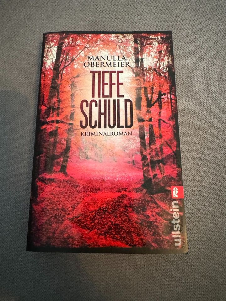 Thriller Bücher Set in Eschborn