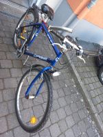 Fahrrad zu Verkaufen Rheinland-Pfalz - Mainz Vorschau