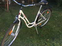 Damen Fahrrad 28 Zoll, 47 cm Rahmenhöhe, weiß, Top-Zustand Sachsen-Anhalt - Halle Vorschau