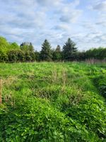 *Lauenhagen* 1000 m² Baugrundstück in ruhige Lage, teilerschlossen Niedersachsen - Lauenhagen Vorschau