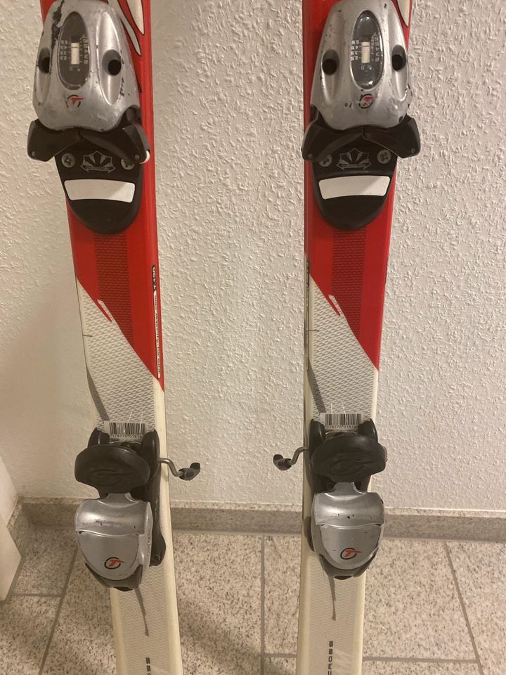 Dynastie Ski 130 cm in Osthofen