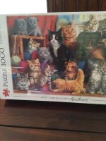 Puzzle  1000  Teile  Katzen neu Nordrhein-Westfalen - Erkrath Vorschau