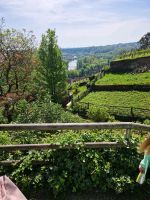 Klein Garten zu pachten  Baden-Württemberg - Besigheim Vorschau