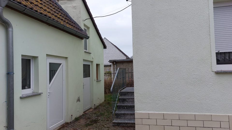 Einfamilienhaus in ländlicher Gegend mit Grundstück in Dommitzsch