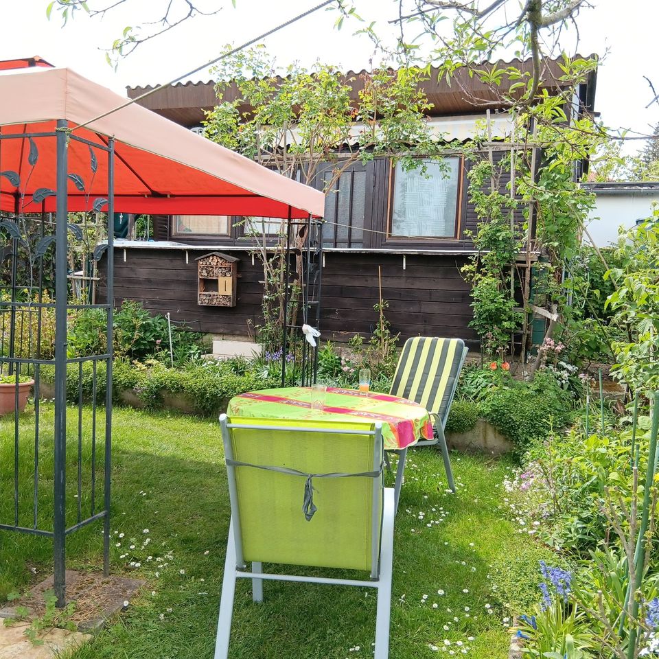 Pachtgarten in Kleingartensparte Roßthal mit Blick auf Dresden in Dresden