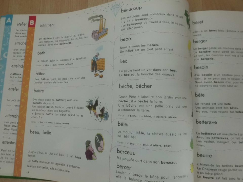 Französisches Wörterbuch für Kinder "Mon Premier Larousse" in Berlin