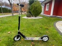 Scooter Roller Kinder von Hornet Brandenburg - Neuruppin Vorschau