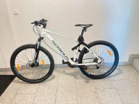 Fahrrad Mountainbike 27 Zoll Bad Godesberg - Pennenfeld Vorschau