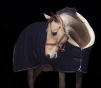 HV Polo Stalldecke Transportdecke Woll-Look 145cm Kreis Pinneberg - Halstenbek Vorschau