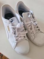 Puma Sneaker 42 Leipzig - Meusdorf Vorschau