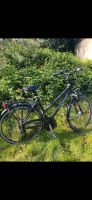 Gudereit Fahrrad Nordrhein-Westfalen - Castrop-Rauxel Vorschau