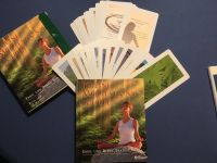 Shapiro: Kleine Meditationsschule mit Buch und 30 Karten Köln - Mülheim Vorschau