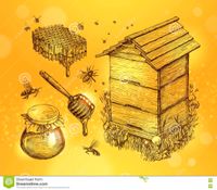 Imker-in zur tätigen Mitarbeit an den Bienen gesucht Niedersachsen - Ovelgönne Vorschau