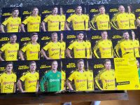 BVB Autogrammkarten 2019/2020 für Sammler Bayern - Gauting Vorschau