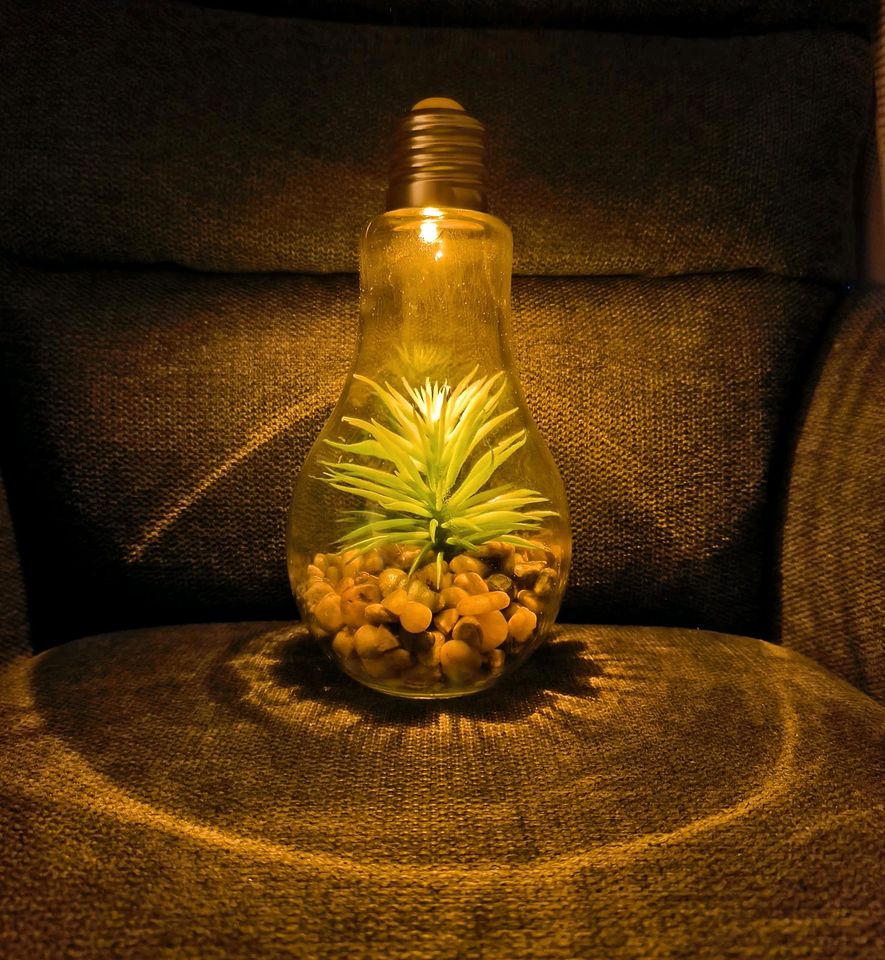 LED Glühbirne Glas B x H: 11x22cm Deko Lampe Kunstpflanze Grün in Neuhof an der Zenn