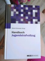 Handbuch Jugendstrafvollzug - Marcel Schweder (Hrsg.) Bayern - Rosenheim Vorschau