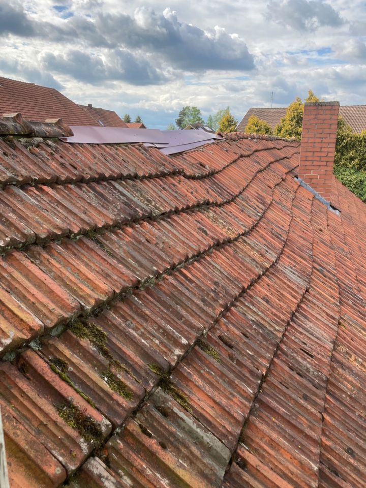 Haus m. Nebengebäude (sanierungsbedürftig), ehemalige Hofstelle, Grundstück knapp 11.000 m² inkl. Wald in Mitwitz