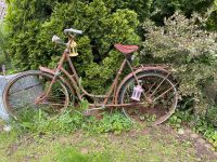Altes rostiges Fahrrad als Dekoobjekt für den Garten Bayern - Untermeitingen Vorschau