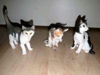 Schleich Katzen Baden-Württemberg - Dettenheim Vorschau