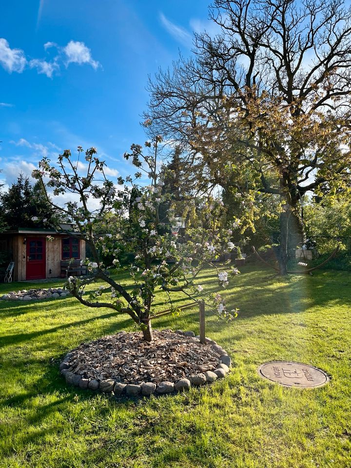 Wochenendhaus Ferienhaus zw. den Seen Fasssauna Baugrundstück in Jabel