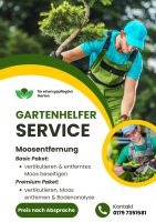 Moosentfernung & Rasenpflege Chemnitz - Schloßchemnitz Vorschau