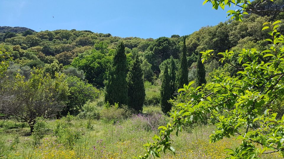 Wunderschöne Finca zu vermieten in Casares in den Bergen Spanien in Berlin