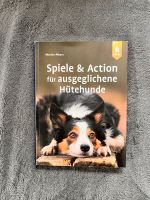 Spiele und Action für Hunde (Buch) Dresden - Laubegast Vorschau