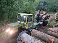 Holzrücken Holztransport Bayern - Oberostendorf Vorschau