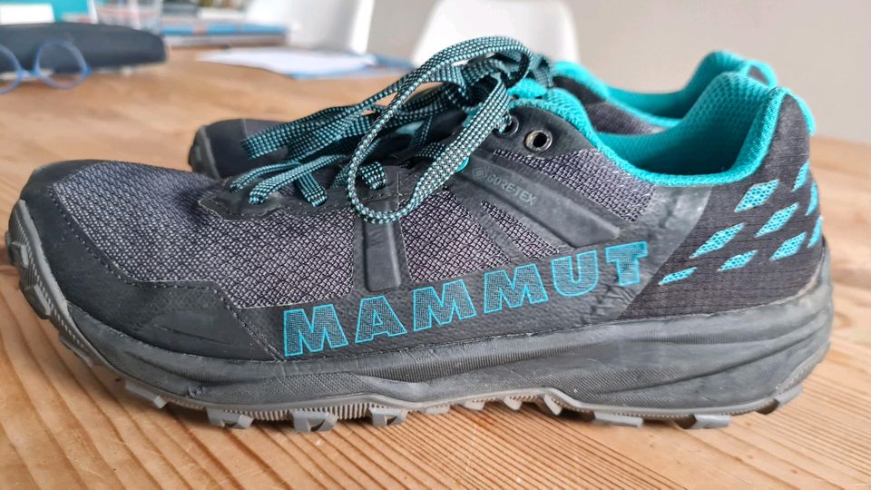 Toller Wander-/Freizeitschuh Mammut Gore-Tex 36 in Köln