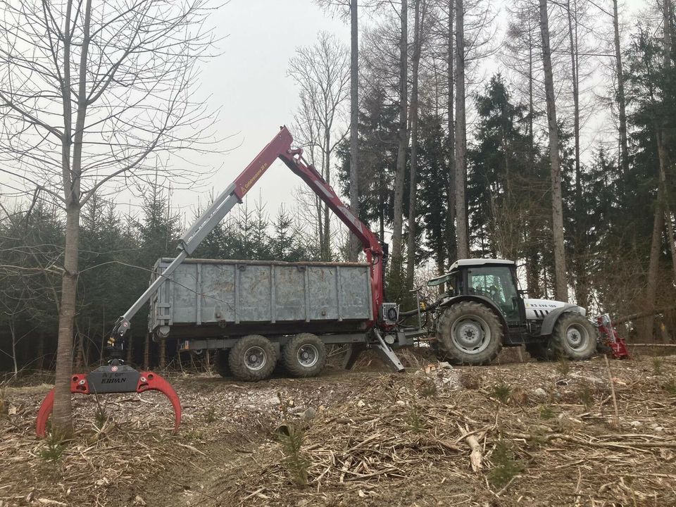 Baumfällung, Rodungen, Wald- & Forstarbeiten, Landschaftpflege in Bad Schussenried