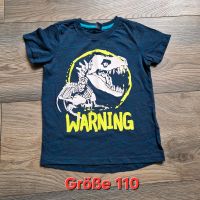 Shirts Sommer Größe 110 5 Stück und Paw Patrol Set Hansestadt Demmin - Demmin Vorschau