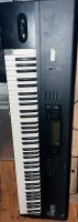 Korg Synthesizer  workstation Nordrhein-Westfalen - Krefeld Vorschau