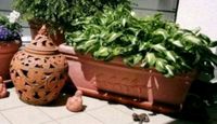 Terracotta Pflanzkübel aus Kunststoff mit Untersetzer Bayern - Ingolstadt Vorschau