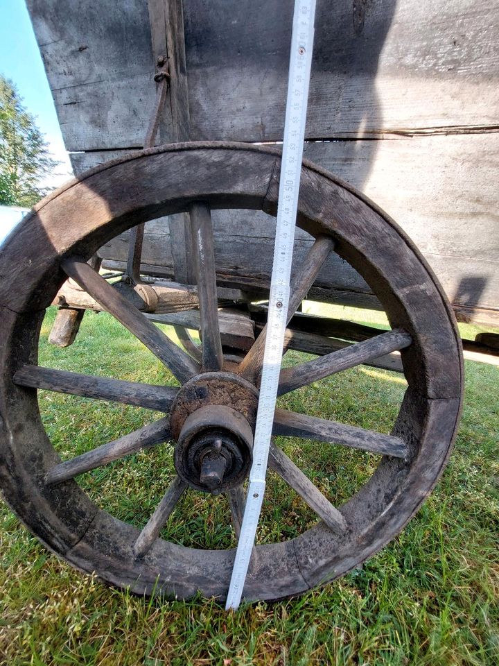 Holzwagen, groß in Bad Saarow