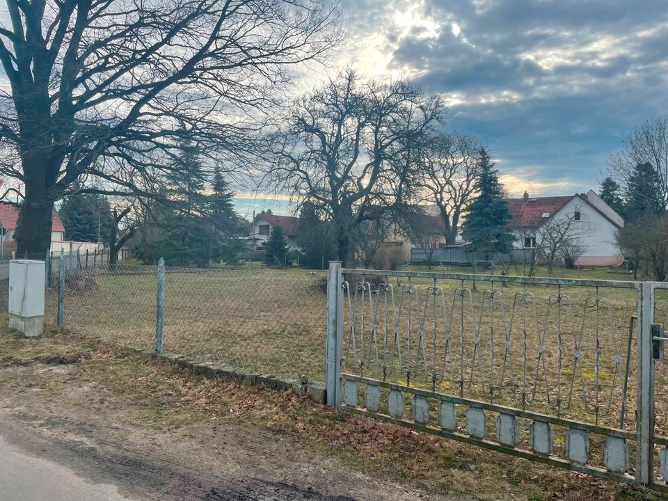 Ihr neues Zuhaue in Kolkwitz in Kolkwitz