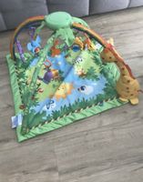 Fisher Price K4562 Baby Erlebnisdecke Krabbeldecke Nordrhein-Westfalen - Lippetal Vorschau