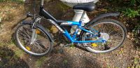 Kinder/Jugend Mountainbike Sachsen - Brandis Vorschau