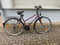 Damen Fahrrad Trekkingrad 28 Rheinland-Pfalz - Ahrbrück Vorschau