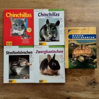 Tierratgeber • Chinchillas Streifenhörnchen Zwergkanninchen etc. Bayern - Böhmfeld Vorschau