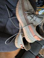 adidas yeezy boost 46 Kreis Pinneberg - Wedel Vorschau